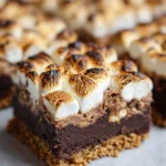 S'mores Brownies Recipe 22 S'mores Brownies Recipe
